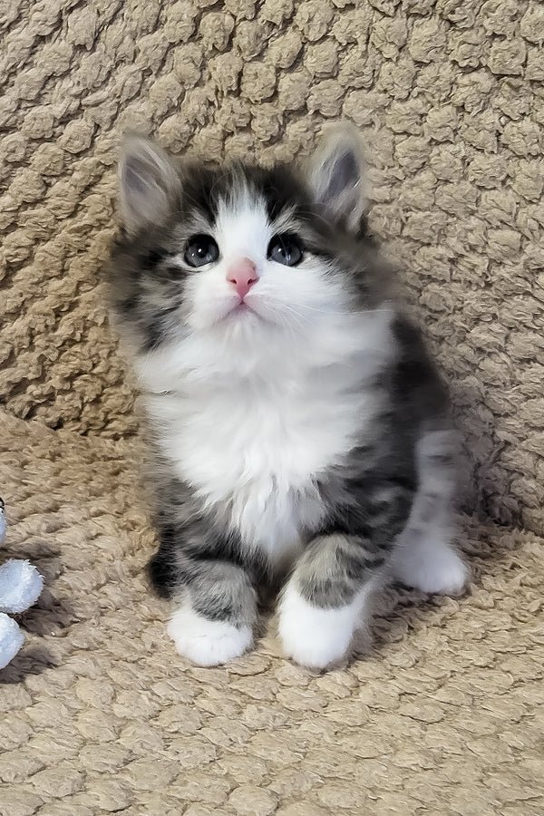 Eleanor