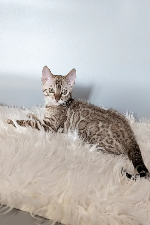 Hi, I'm Wendy